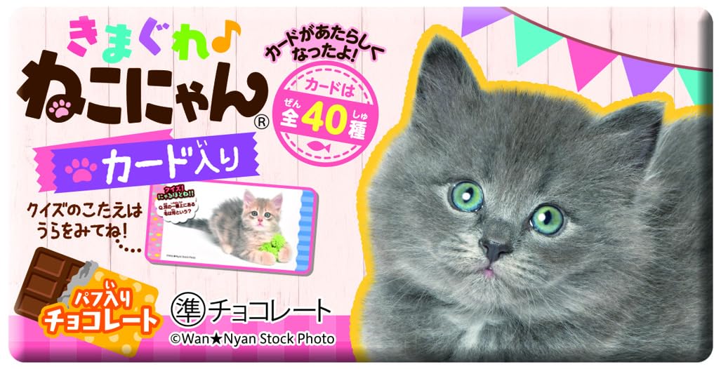 大量　約270枚　きまぐれねこにゃん　 カード セット 大量 約270枚 きまぐれねこにゃん カード セット Amazon | 正栄